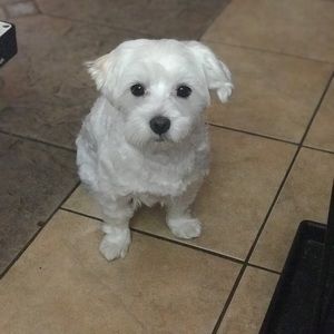 Meet your Posher, Joenned